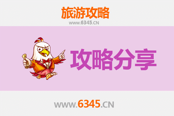 内江市中区旅游攻略：跟团与自由行深度对比